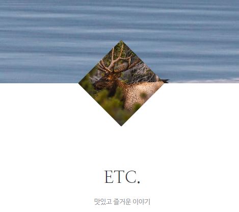 태상의 미니샵 바로가기: 라이프스타일 정보의 허브 역할